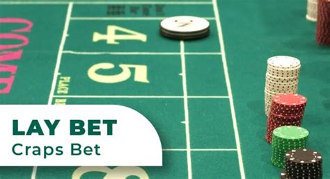 lay bet meaning